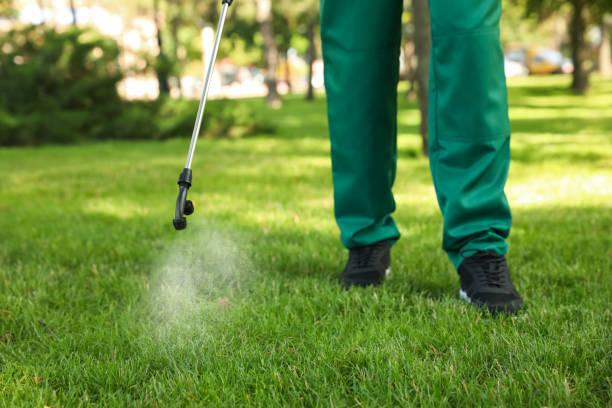 Best Mosquito Control Services  in Brookhaven, PA