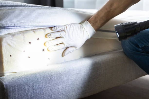 Best Commercial Pest Control Services  in Brookhaven, PA