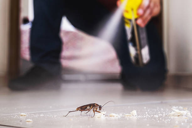 Best Insect Control  in Brookhaven, PA